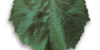 140 ruggeri_2