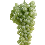 planta_chardonnay_blancas