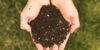 compost_viña