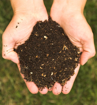 compost_viña