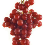 uva sin pepita flame