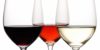 clasificacion de los vinos