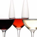 clasificacion de los vinos
