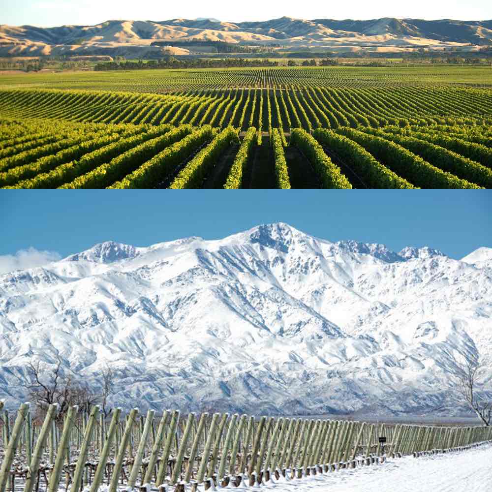 Où planter une vigne?